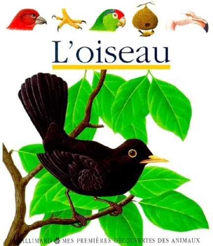 L'oiseau - Click to enlarge picture.