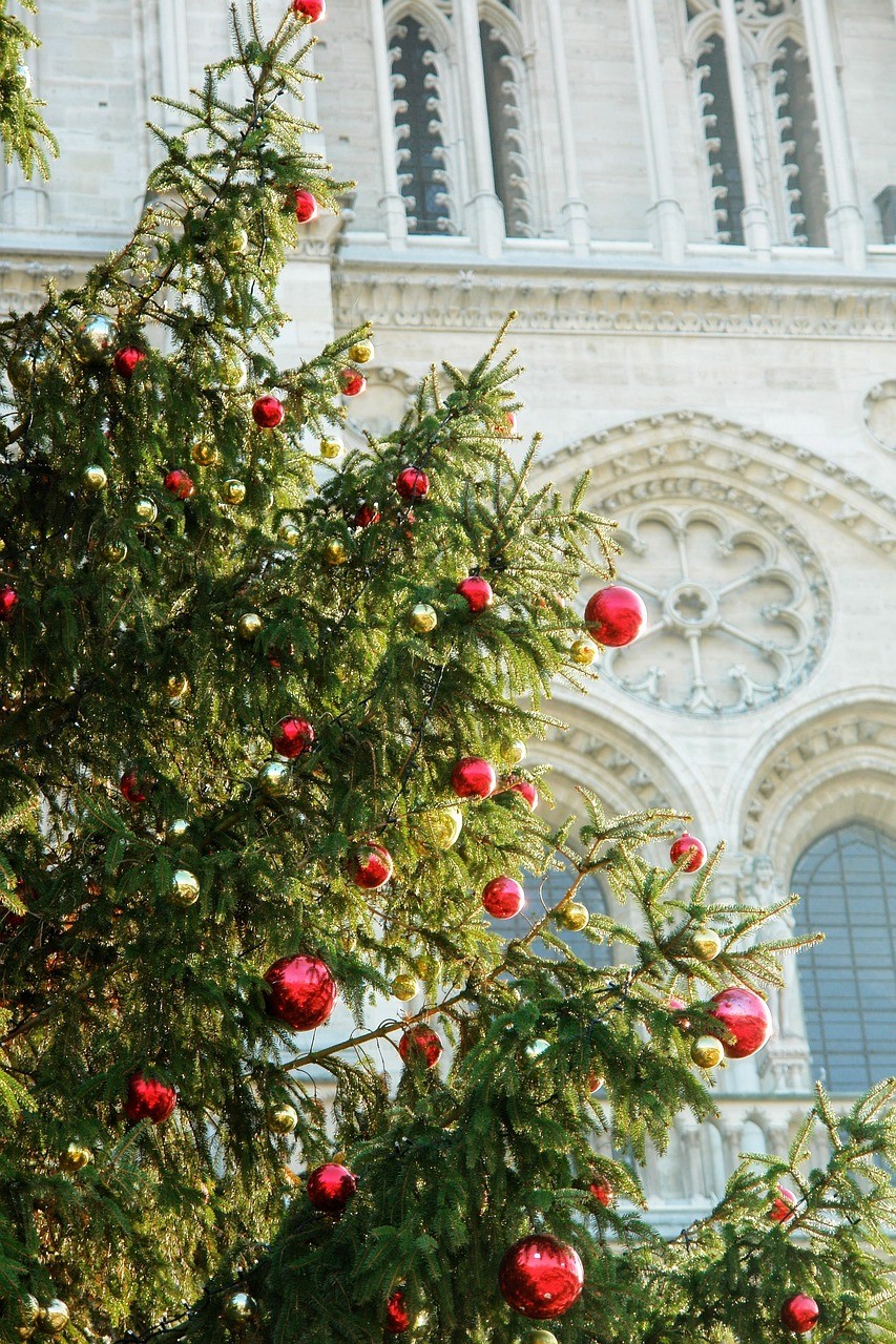 Christmas Traditions in France: