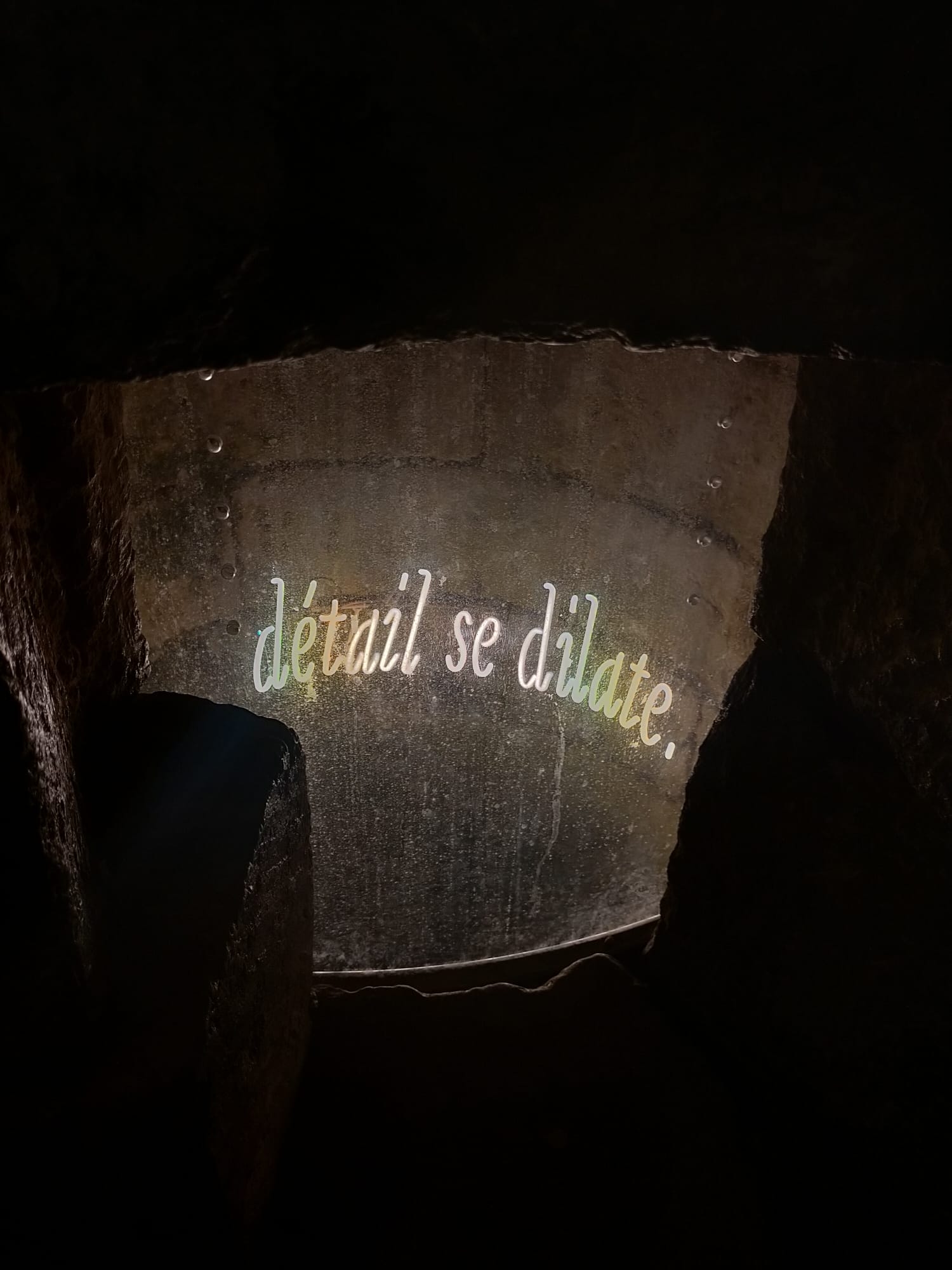 Photo by Alejandro Ramirez G Photo by Alejandro Ramirez G