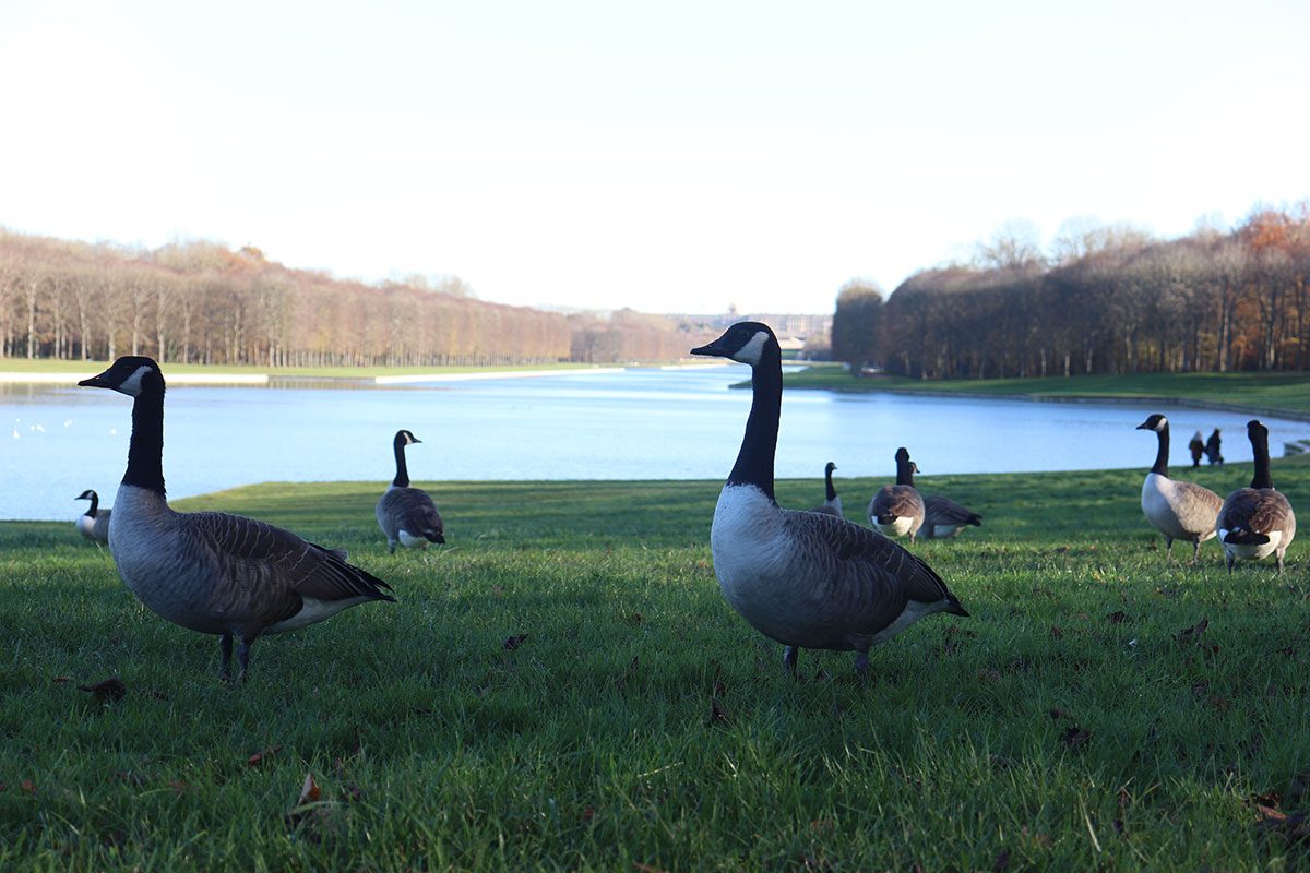 Photo by Alejandro Ramirez G Photo by Alejandro Ramirez G